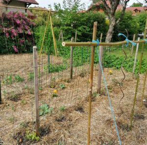 Aménagement d'un potager